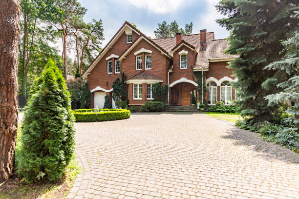 Best Driveway Repair Near Me  in Daisetta, TX