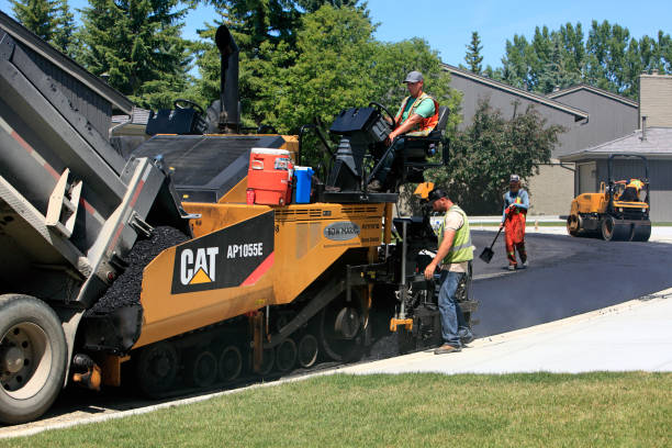 Best Permeable Paver Driveway  in Daisetta, TX